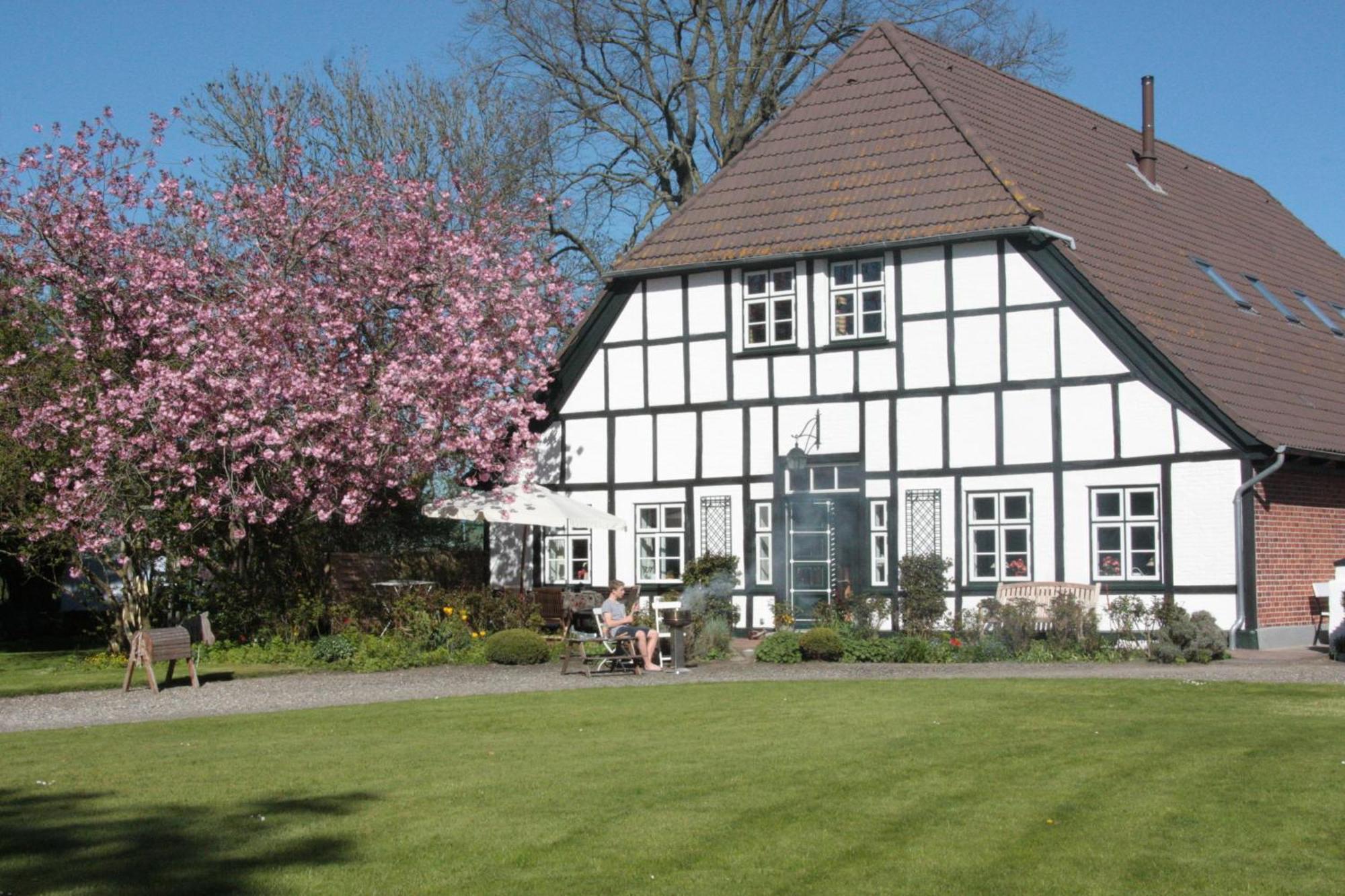 HinrichsdorfMuschelkorb公寓 外观 照片
